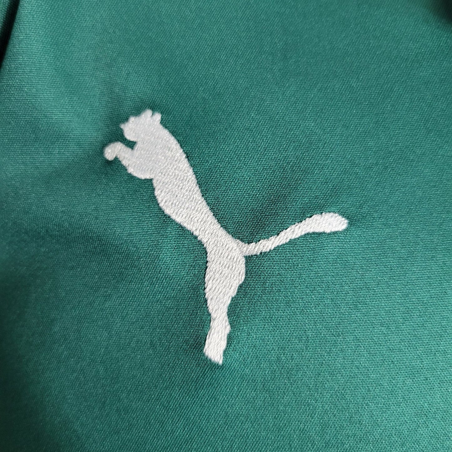 Palmeiras 23-24 Edition spécial Polo Vert (PLAYER) - StrikeKit