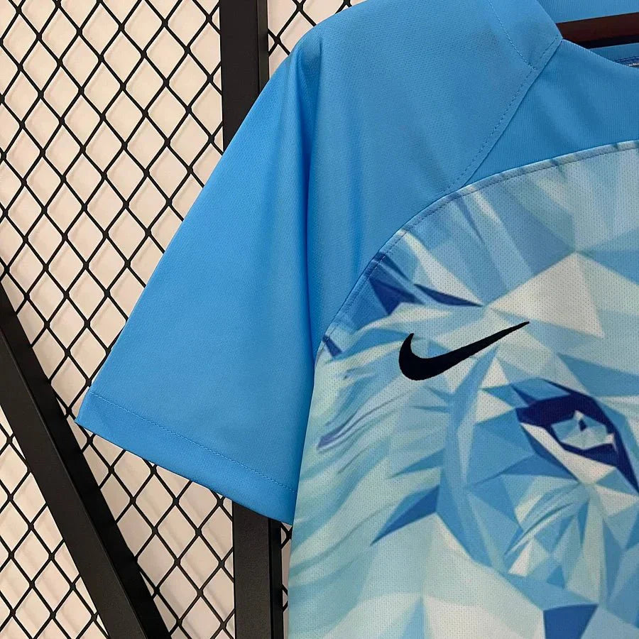 Pays-Bas 23-24 Concept Bleu - StrikeKit