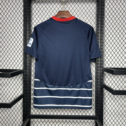 Hamburger SV 24-25 Away