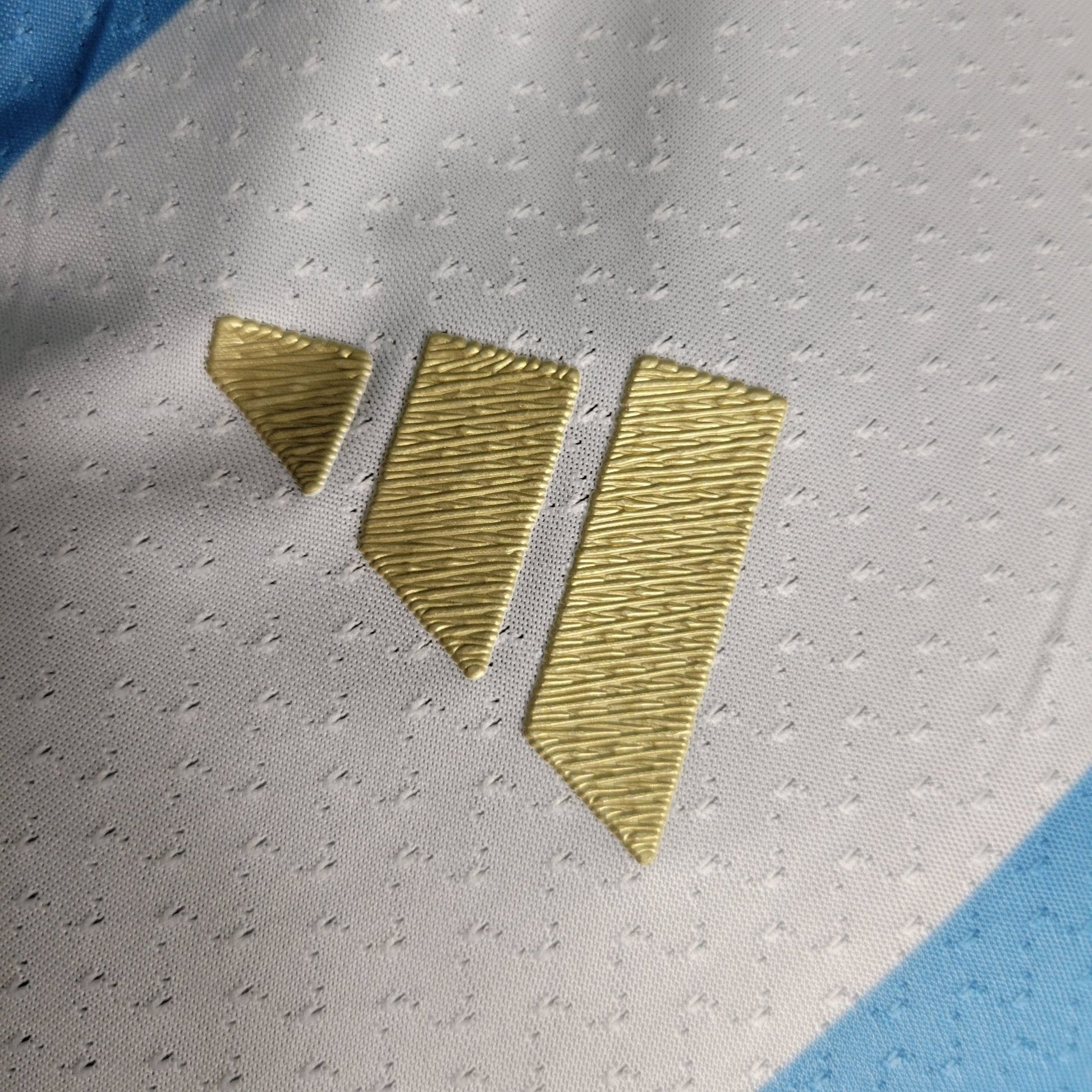Argentine 23-24 Home (PLAYER) - StrikeKit