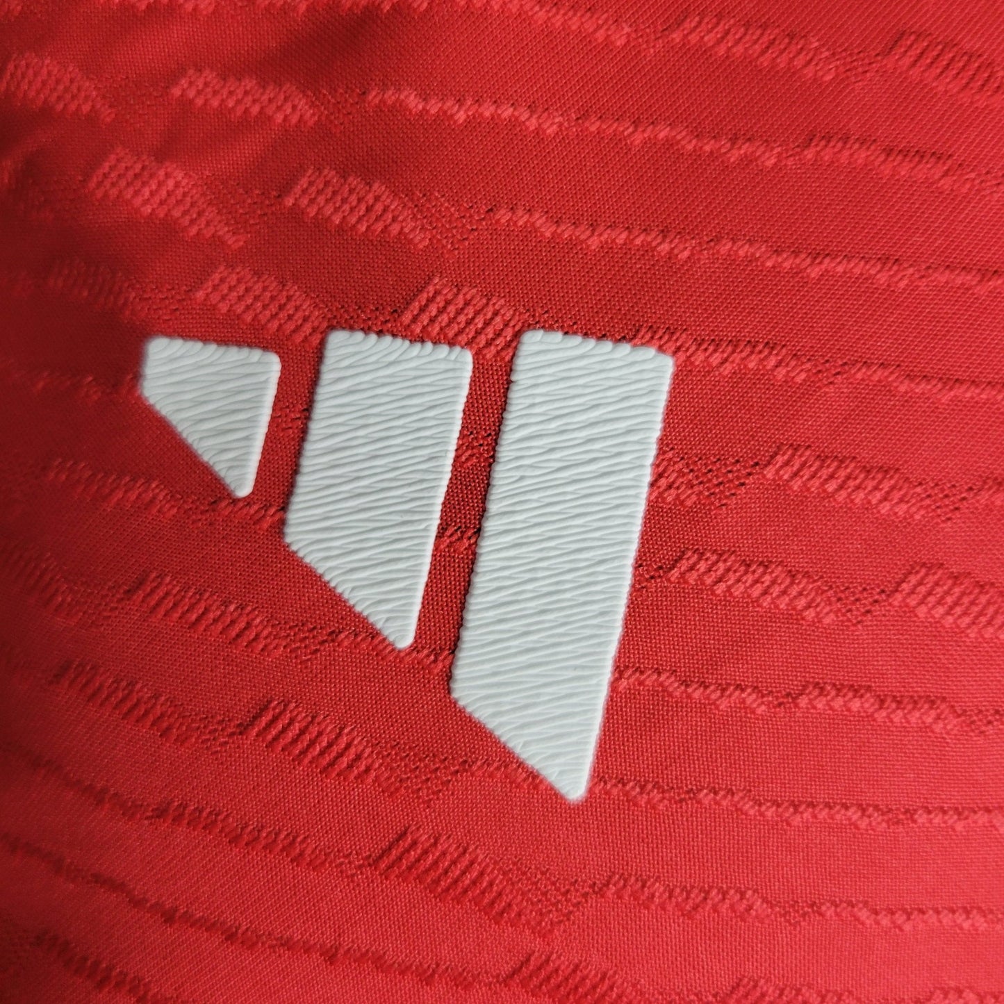 Benfica 23-24 Home (PLAYER)