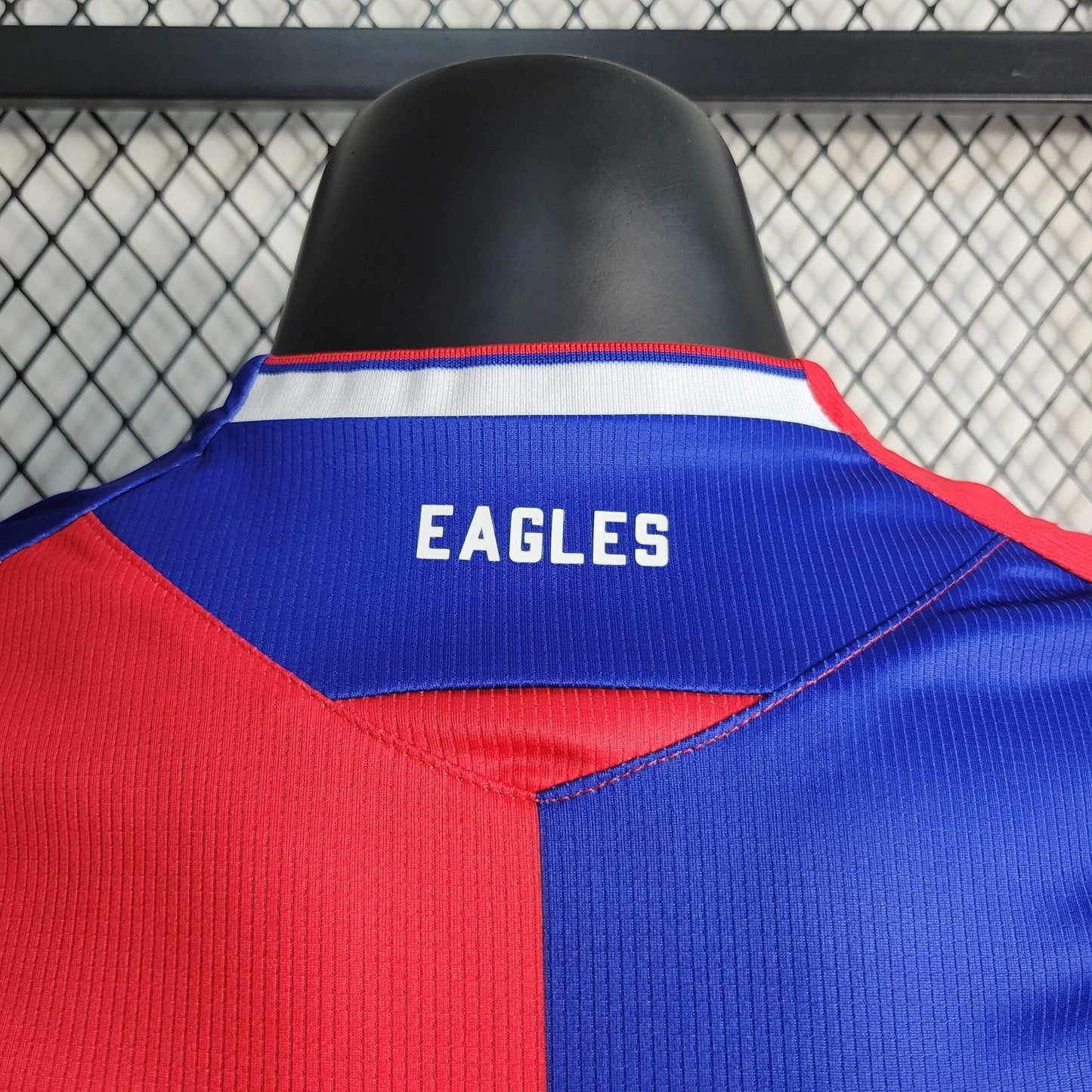Crystal Palace 23-24 Home (PLAYER)