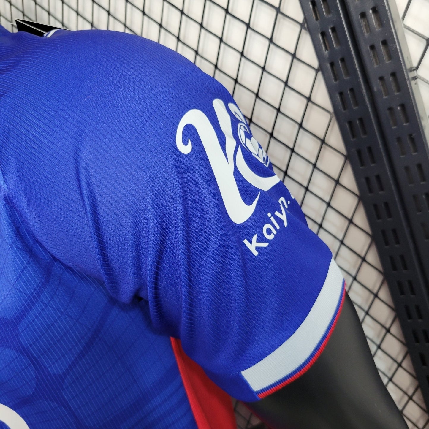 Crystal Palace 23-24 Home (PLAYER)