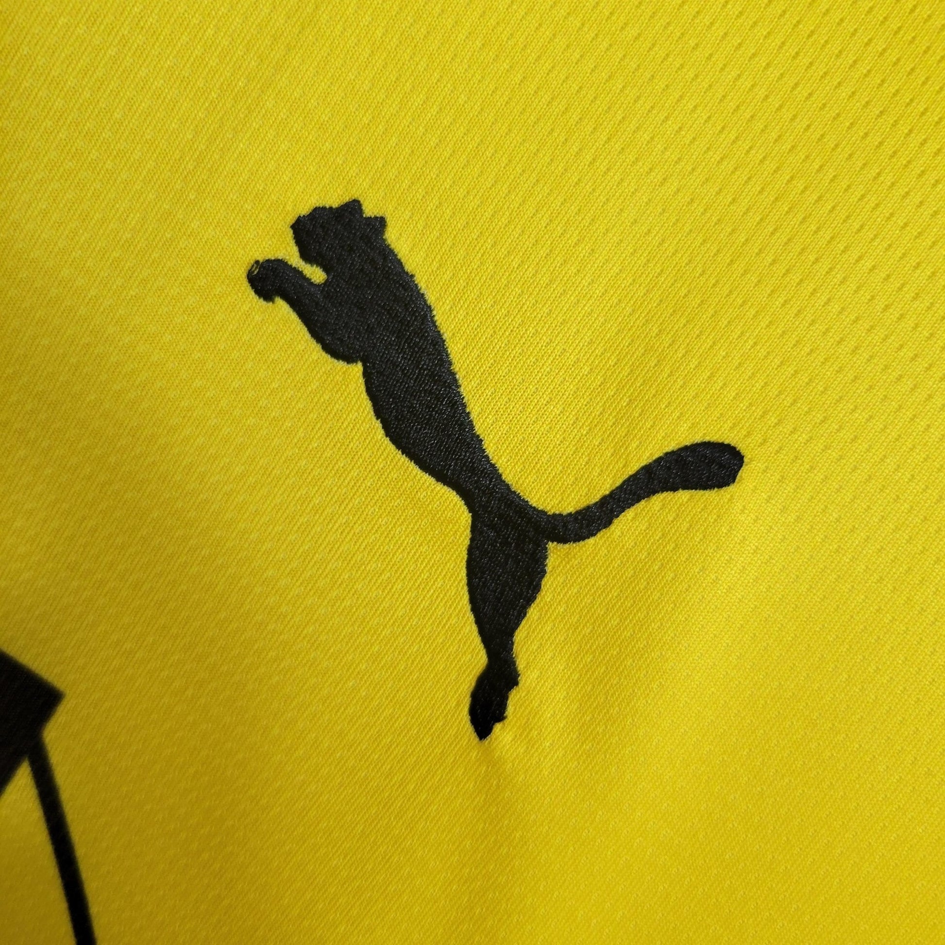 Dortmund 23-24 Domicile - StrikeKit