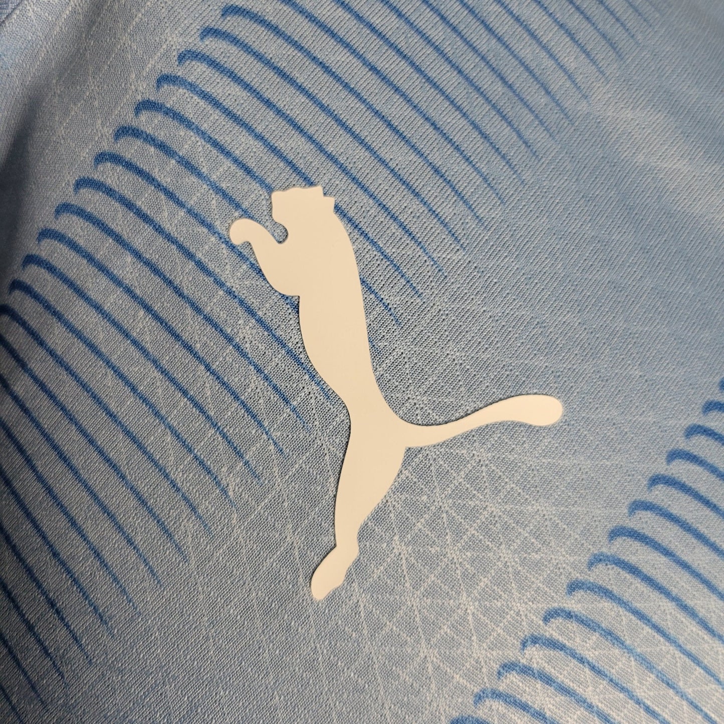 Manchester City 23-24 Domicile (PLAYER) - StrikeKit