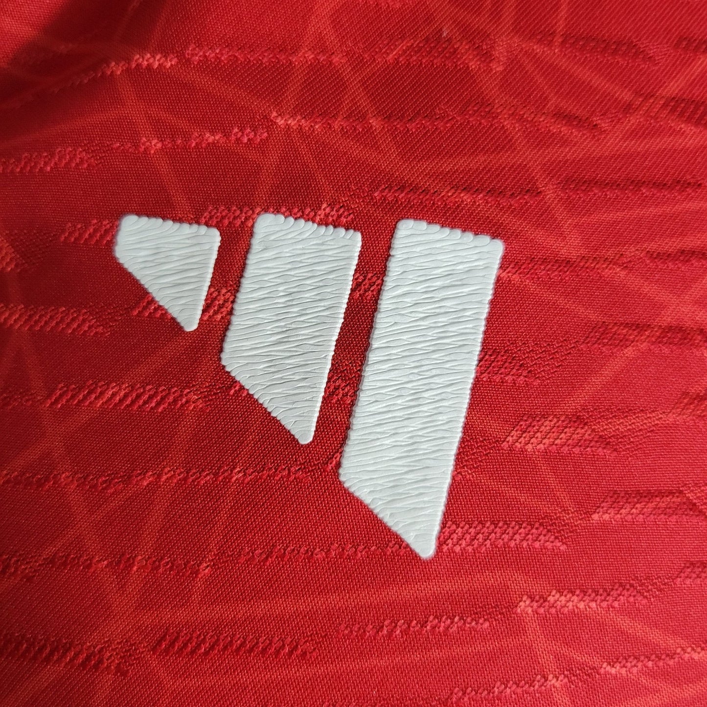 Manchester United 23-24 Domicile (PLAYER) - StrikeKit